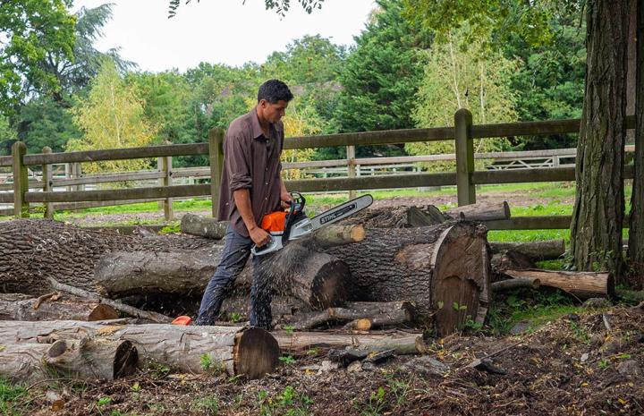 Optez pour notre approche responsable pour tout élagage ou abattage d'arbres.