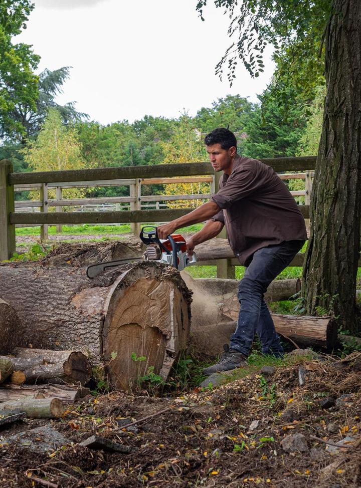 Travaux d’entretien de jardins Chailly-en-Bière