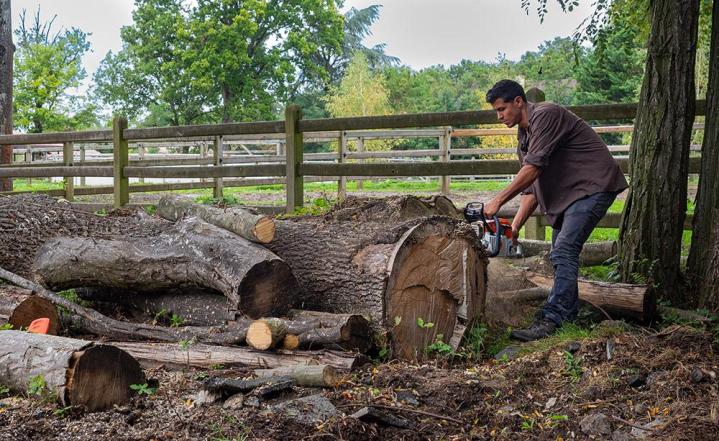 Travaux d’élagage et d’abattage Chailly-en-Bière