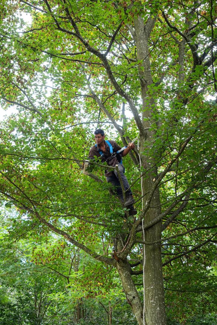 Terrassement Chailly-en-Bière