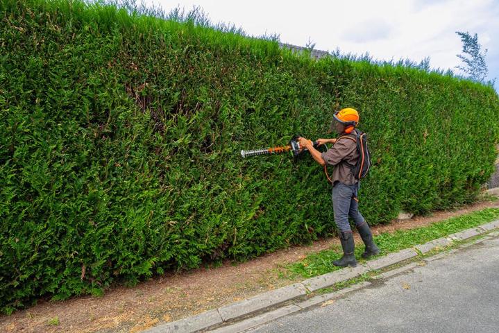 Travaux de terrassement Chailly-en-Bière 